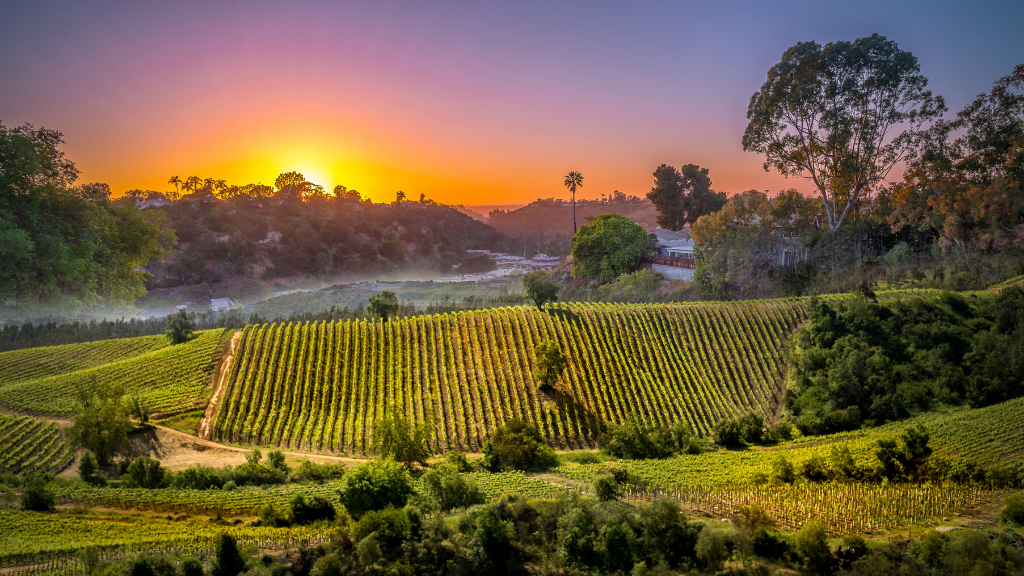 blog-sabai-enoturismo-america-do-sul-valle